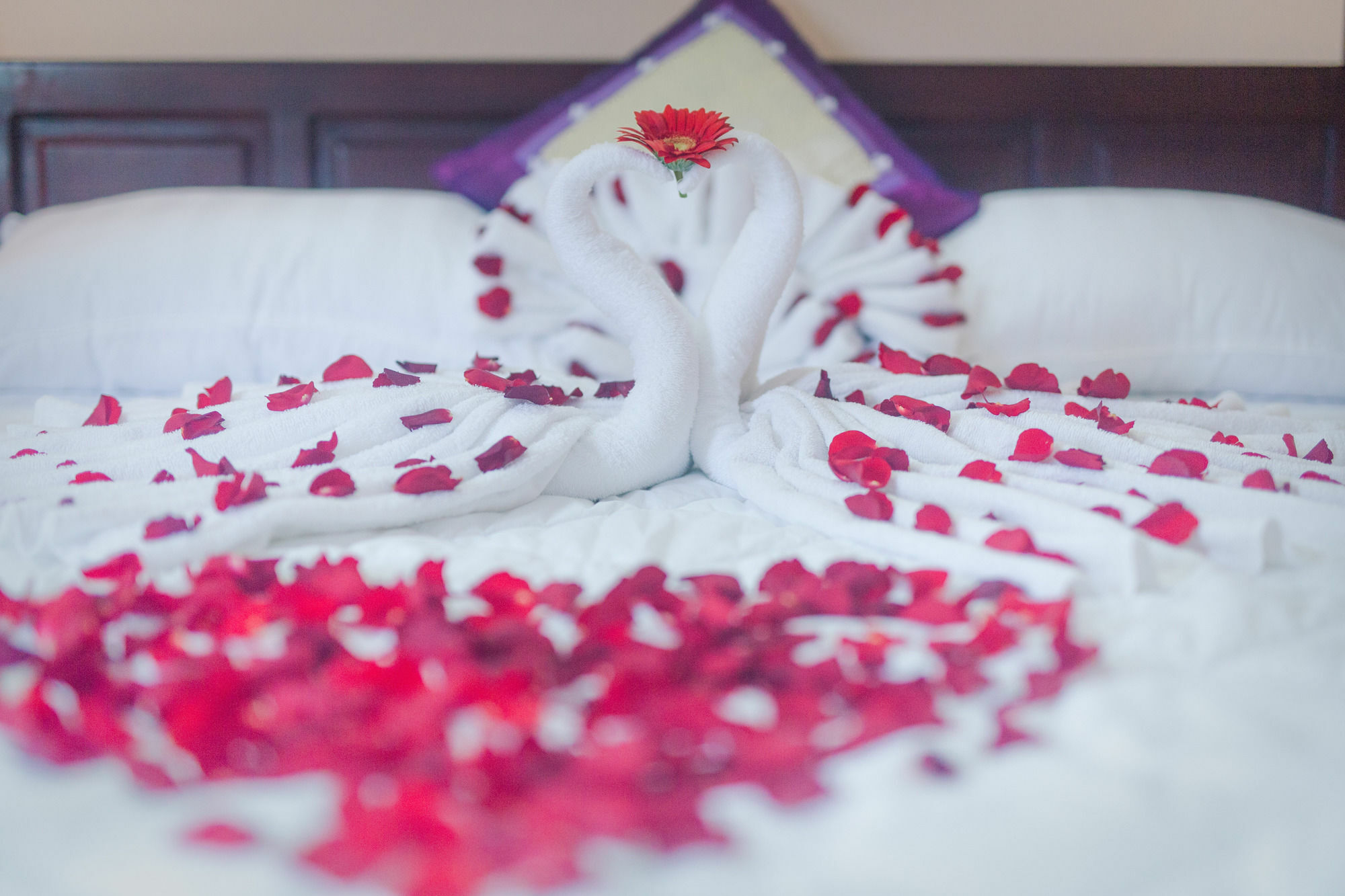Oyo 117 Gina Hotel Дананг Екстер'єр фото