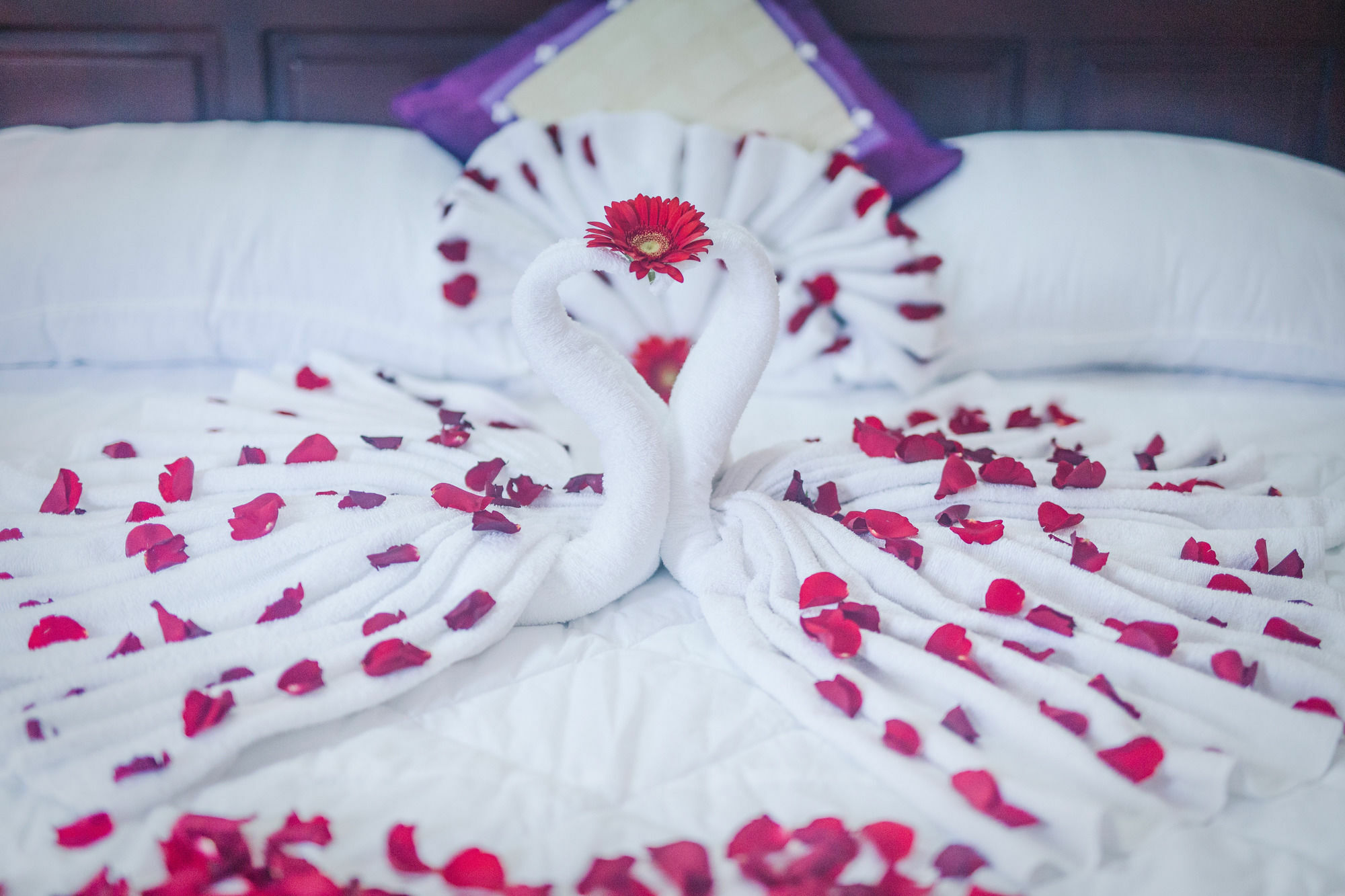 Oyo 117 Gina Hotel Дананг Екстер'єр фото